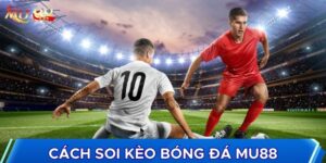 Cách soi kèo bóng đá cơ bản