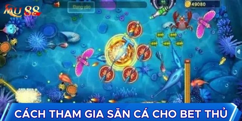 Cách tham gia săn cá cho bet thủ