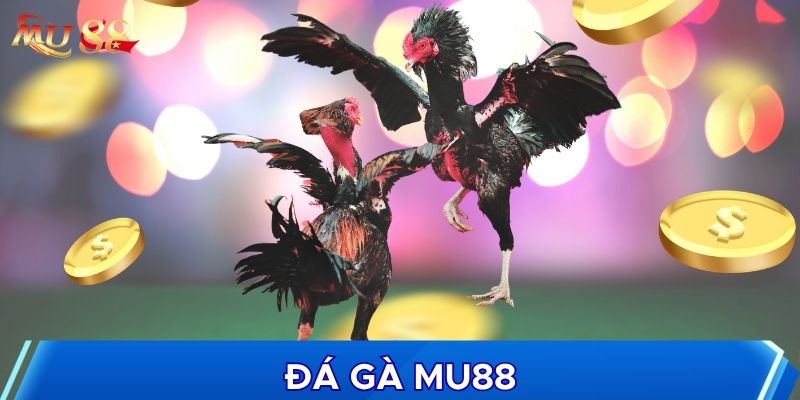 Không gian đá gà MU88 đặc sắc
