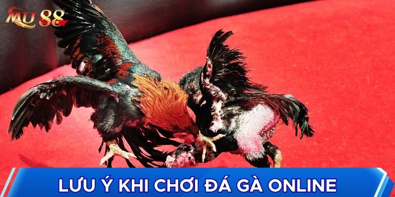 Lưu ý khi chơi đá gà online