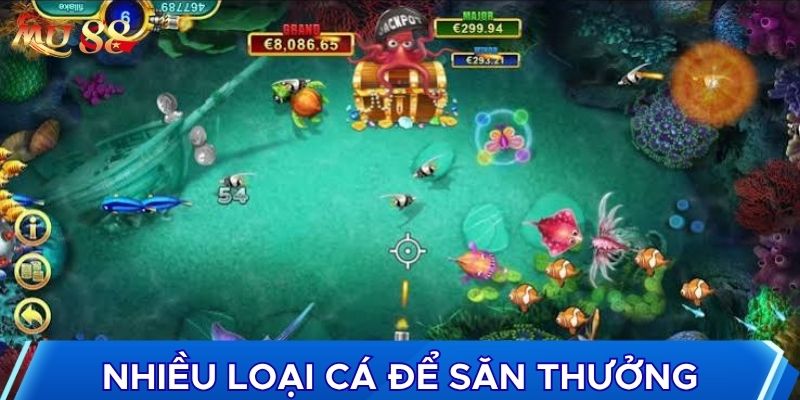 Nhiều loại cá để săn thưởng