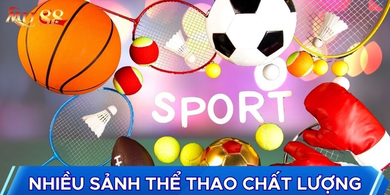 Có rất nhiều sảnh chơi thể thao chất lượng